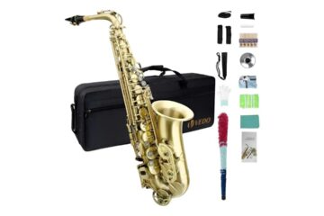 Saxofone VEDO Mi Bemol Alto Review Completo para Iniciantes e Intermediários